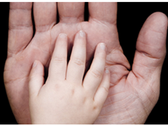 Childs hand in an adults hand